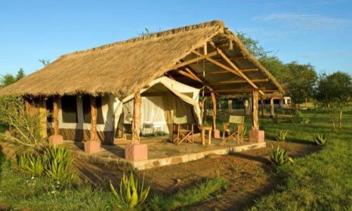 Ikoma-Tented-Camp-3 Ikoma-Tented-Camp-3