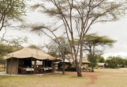 serengeti-kati-kati-tent